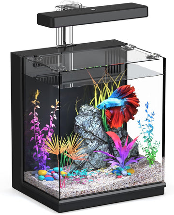 Mini Fish Tank