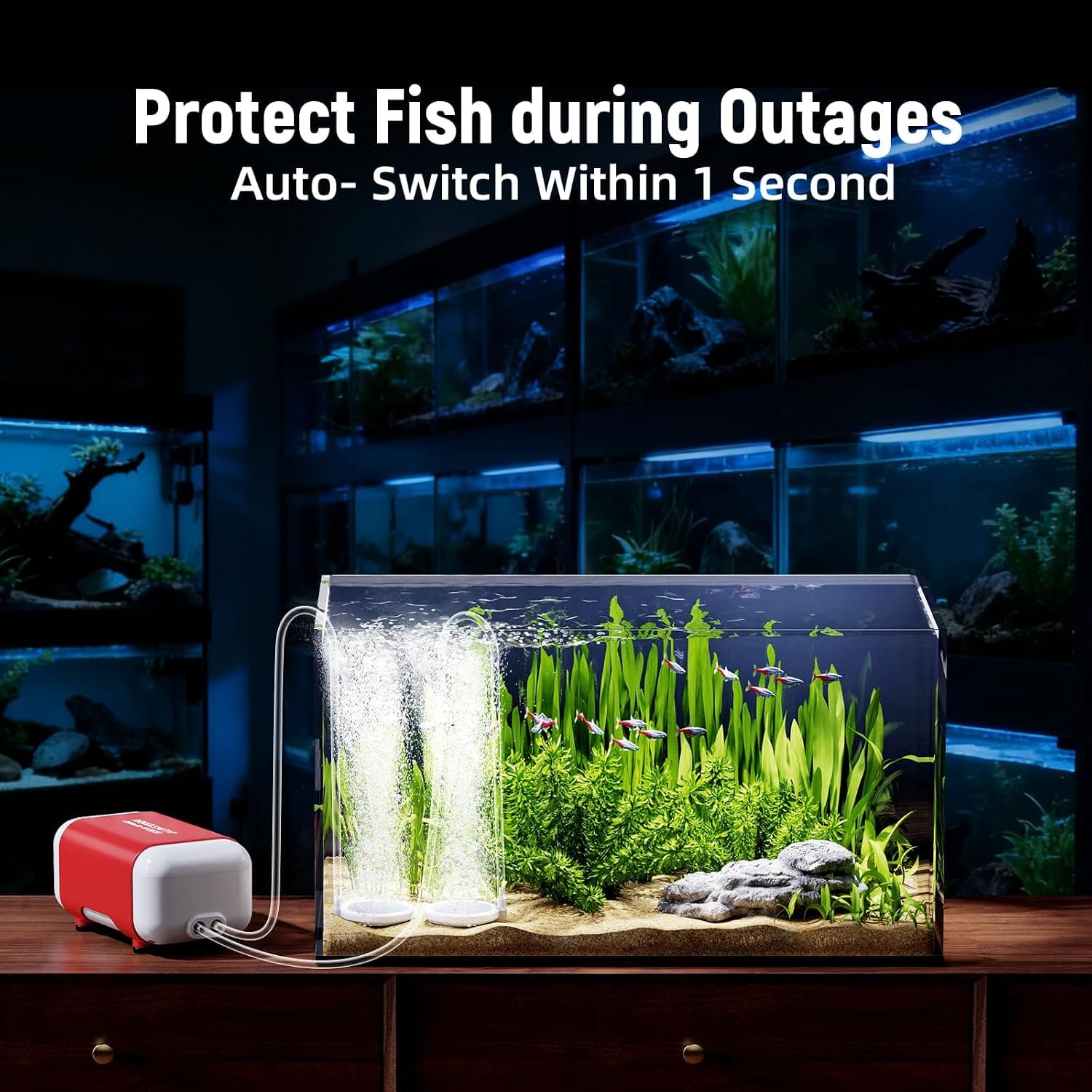 AQUASMITH Rechargeable Battery Air Pumps