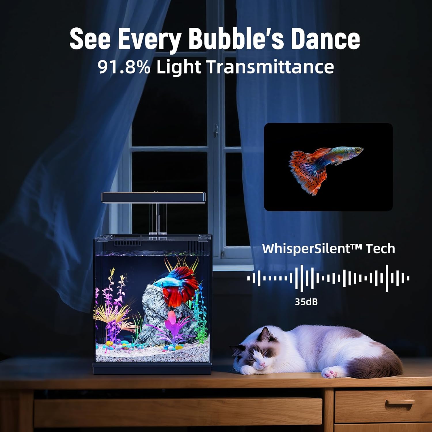 AQUASMITH Betta Fish Tank, 2 Gallon All-in-One Aquarium Kit with Filtration & LED Light, Self-Cleaning Aquarium CE/FCC certified, low MOQ, in stock for global wholesale.