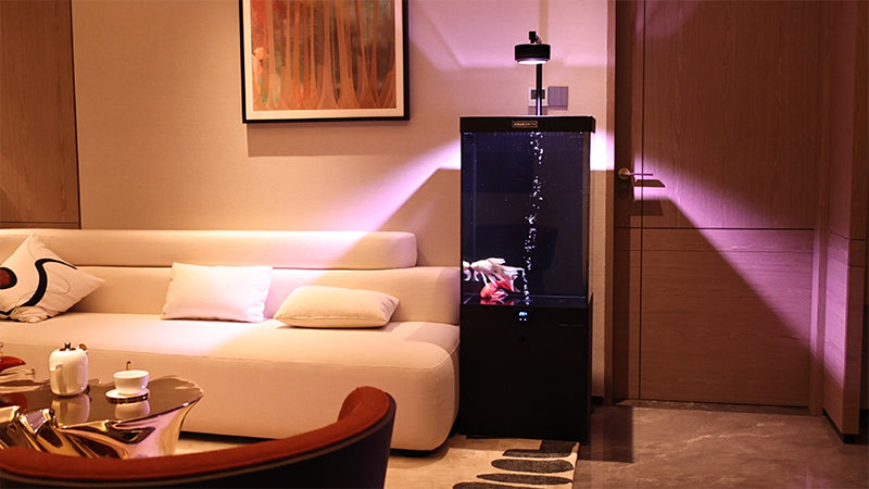 Custom Aquarium Clients