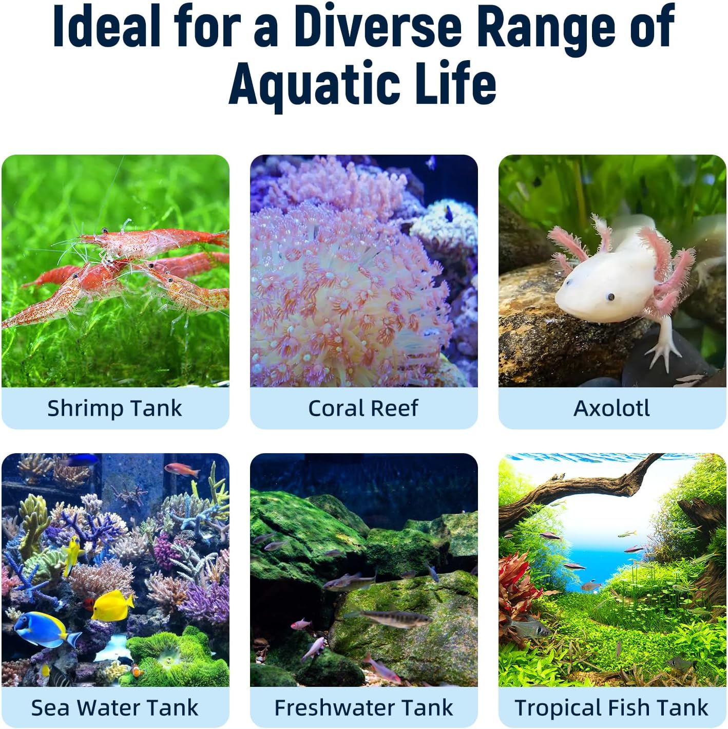 AQUASMITH Aquarium Chiller